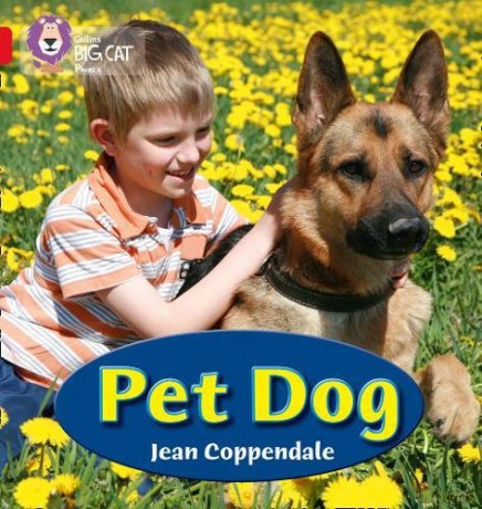 Pet Dog: Band 02A/Red A (Collins Big Cat Phonics) - Jean Coppendale [KSIĄŻKA]