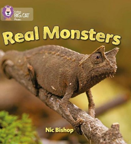 Real Monsters: Wow children with real monsters that live on the earth today: Yellow/Band 3 (Collins Big Cat Phonics) - Nic Bishop [KSIĄŻKA]
