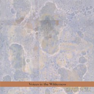 Masada w, Cracow Klezmer Band, Satlah, Steven Bernstein, Medeski Martin and Wood, Pachora, Jenny Scheinman, Jamie and Vanessa Saft...: Masada 10th Anniversary Edition vol. 2 - Voices in the Wilderness [2CD]