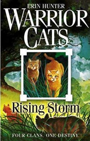 Rising Storm (Warrior Cats): Four Clans. One Destiny.: Book 4 - Erin Hunter [KSIĄŻKA]