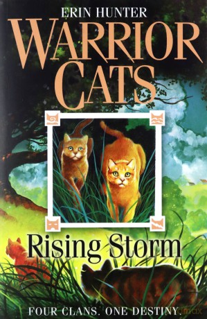 Rising Storm (Warrior Cats): Four Clans. One Destiny.: Book 4 - Erin Hunter [KSIĄŻKA]