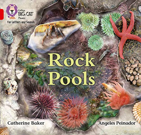 Rock Pools: Band 02B/Red B (Collins Big Cat Phonics for Letters and Sounds) - Catherine Baker [KSIĄŻKA]