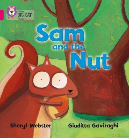Sam and the Nut: Band 01B/Pink B (Collins Big Cat Phonics) - Sheryl Webster [KSIĄŻKA]
