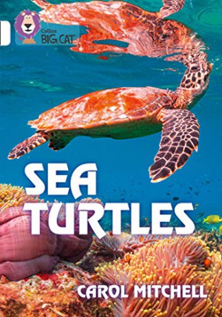 Sea Turtles: Band 10/White (Collins Big Cat) - Carol Mitchell [KSIĄŻKA]