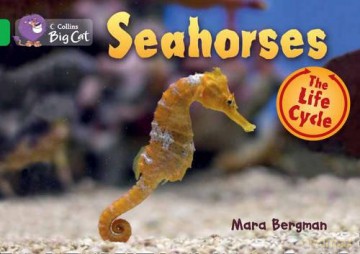 Seahorses: Band 05/Green (Collins Big Cat) - Mara Bergman [KSIĄŻKA]