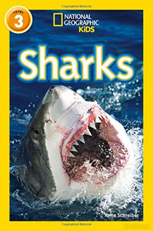 Sharks: Level 3 (National Geographic Readers) - Anne Schreiber [KSIĄŻKA]