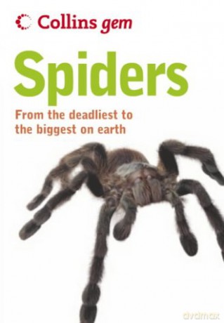 Spiders (Collins Gem) - Paul Hillyard [KSIĄŻKA]