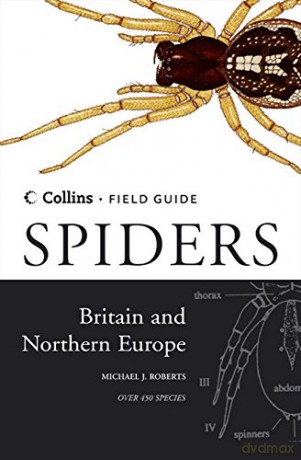 Spiders of Britain and Northern Europe (Collins Field Guide) - Michael J. Roberts [KSIĄŻKA]