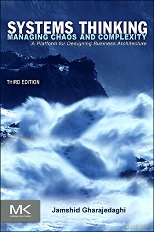 Systems Thinking: Managing Chaos and Complexity: A Platform for Designing Business Architecture - Jamshid Gharajedaghi [KSIĄŻKA]