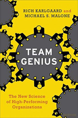 Team Genius: The New Science of High-Performing Organizations - Rich Karlgaard [KSIĄŻKA]