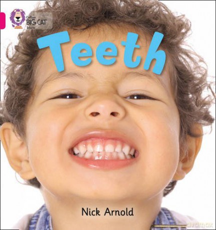 Teeth: Band 01A/Pink A (Collins Big Cat) - Nick Arnold [KSIĄŻKA]