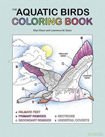 The Aquatic Birds Coloring Book (Coloring Concepts) - Coloring Concepts Inc. [KSIĄŻKA]