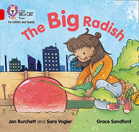 The Big Radish: Band 02A/Red A (Collins Big Cat Phonics for Letters and Sounds) - Jan Burchett [KSIĄŻKA]