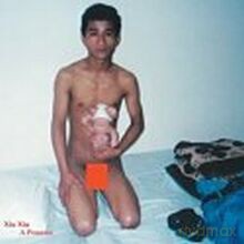 Xiu Xiu: A Promise [CD]