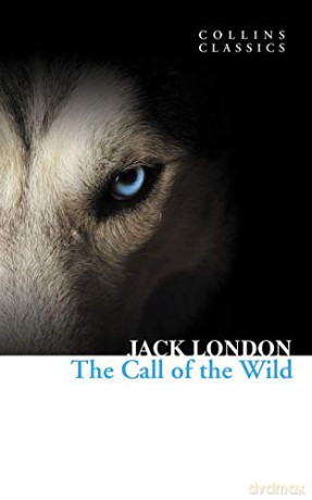 The Call of the Wild (Collins Classics) - Jack London [KSIĄŻKA]