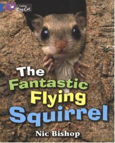 The Fantastic Flying Squirrel: An information book about a flying squirrel with beautiful photographs. (Collins Big Cat) - Nic Bishop [KSIĄŻKA]