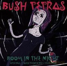 Bush Tetras: Boom In The Night [CD]