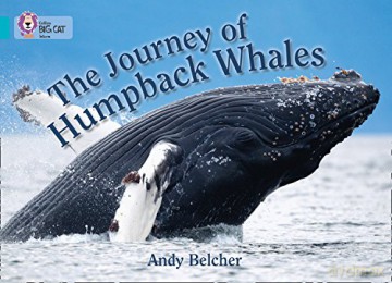 The Journey of Humpback Whales: Band 07/Turquoise (Collins Big Cat) - Andy Belcher [KSIĄŻKA]