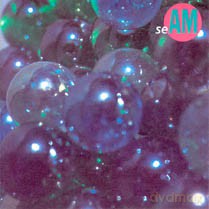 Seam: The Problem With Me [CD]