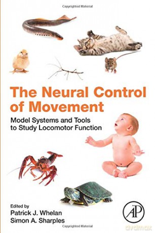 The Neural Control of Movement: Model Systems and Tools to Study Locomotor Function - Patrick J. Whelan [KSIĄŻKA]