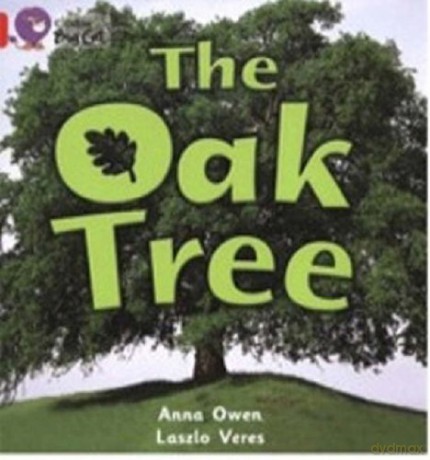 The Oak Tree: A non-fiction photographic picture book about the different parts of an oak tree.: Band 02b/Red B (Collins Big Cat) - Anna Owen [KSIĄŻKA]