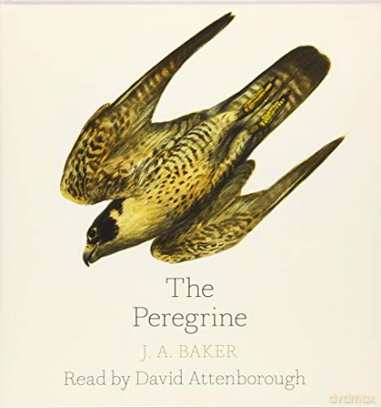 The Peregrine - J. A. Baker [KSIĄŻKA]