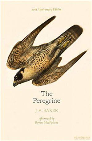The Peregrine: 50th Anniversary Edition: Afterword by Robert Macfarlane - J. A. Baker [KSIĄŻKA]
