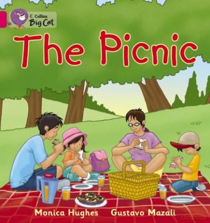 The Picnic: This simple picture book looks at the different things a family take on a picnic.: Band 01a/Pink A (Collins Big Cat) - Monica Hughes [KSIĄŻKA]