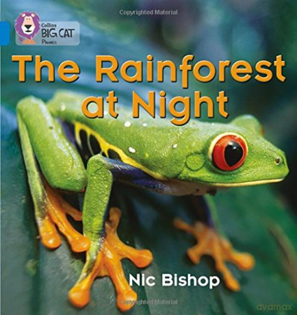The Rainforest at Night: Meet the animals and insects that live in the rainforest: Blue/Band 4 (Collins Big Cat Phonics) - Nic Bishop [KSIĄŻKA]