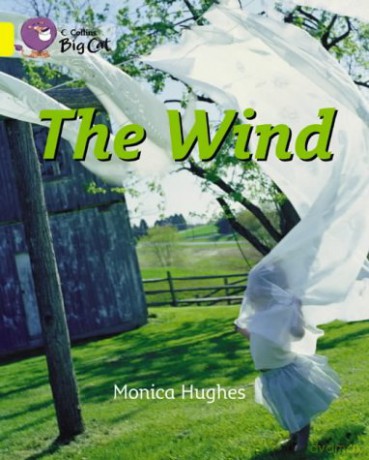 The Wind: This non-chronological report shows how and what the wind can blow.: Band 03/Yellow (Collins Big Cat) - Monica Hughes [KSIĄŻKA]