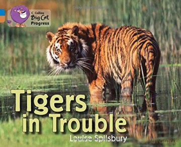 Tigers in Trouble: Band 04 Blue/Band 12 Copper (Collins Big Cat Progress) - Louise Spilsbury [KSIĄŻKA]