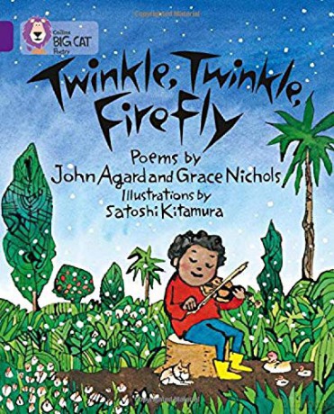 Twinkle, Twinkle, Firefly: Band 08/Purple (Collins Big Cat) - John Agard [KSIĄŻKA]