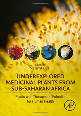 Underexplored Medicinal Plants from Sub-Saharan Africa: Plants with Therapeutic Potential for Human Health - Namrita Lall [KSIĄŻKA]
