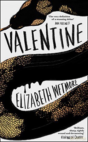 Valentine: A Stunning Debut and a New York Times Bestseller - Elizabeth Wetmore [KSIĄŻKA]