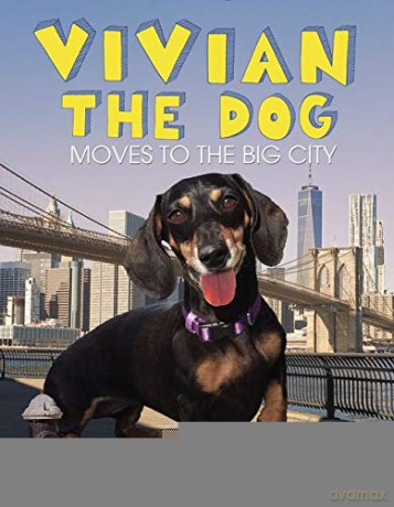 Vivian the Dog Moves to the Big City - Mitch Boyer [KSIĄŻKA]