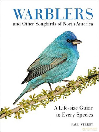 Warblers and Other Songbirds of North America: A Life-size Guide to Every Species - Paul Sterry [KSIĄŻKA]