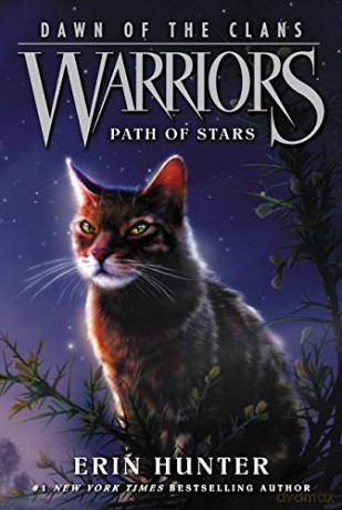 Warriors: Dawn of the Clans #6: Path of Stars - Erin Hunter [KSIĄŻKA]