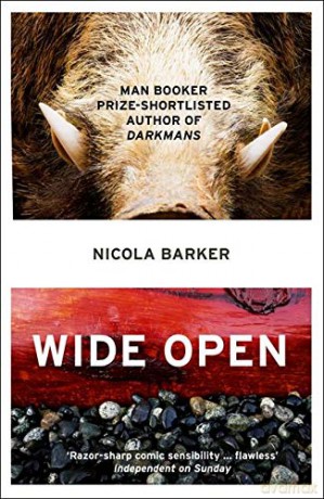 Wide Open - Nicola Barker [KSIĄŻKA]