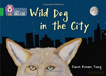 Wild Dog In The City: Band 05/Green (Collins Big Cat) - Karen Romano Young [KSIĄŻKA]