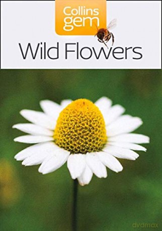 Wild Flowers (Collins Gem) - Martin Walters [KSIĄŻKA]