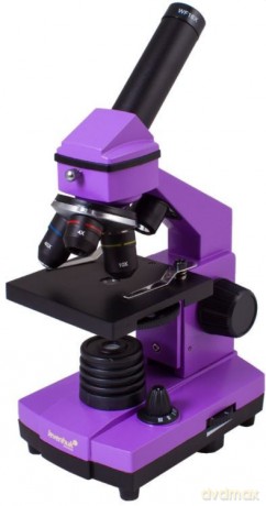 Mikroskop 2L plus Rainbow Amethyst