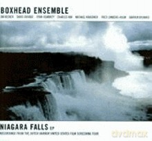 The Boxhead Ensemble: Niagara Falls [CD]