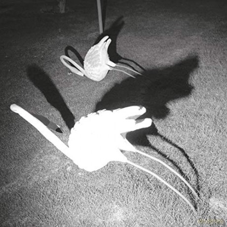Siavash Amini: A Mimesis Of Nothingness [Winyl]