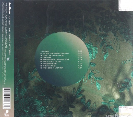 Ane Brun: After The Great Storm [CD]