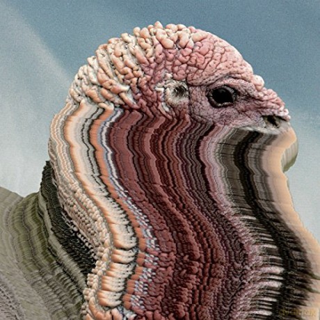 Holy Fuck: Bird Brains [Winyl]
