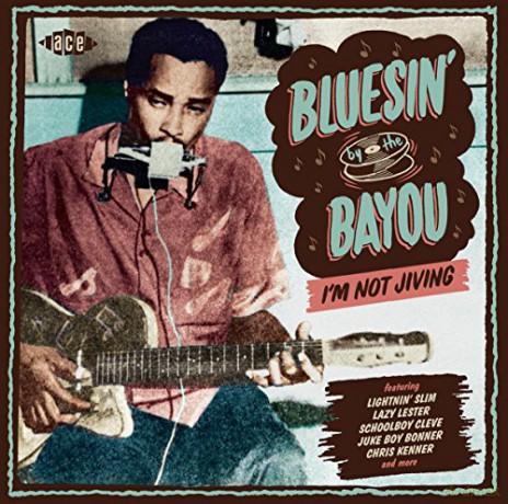 Bluesin By The Bayou - IM Not Jiving [CD]