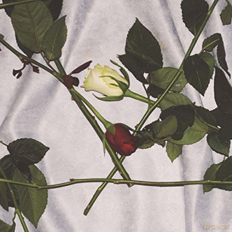 Chain Of Flowers: Cadwyn O Flodau Clear Vinyl Edition [Winyl]
