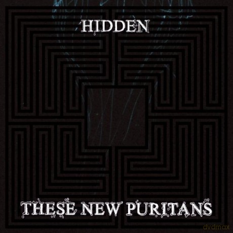 These New Puritans: Hidden [Winyl]