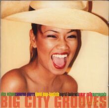 Różni Wykonawcy: Big City Grooves [CD]
