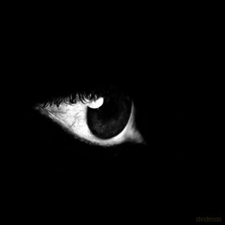 Coldcut X On-U Sound: Kajra [Winyl]